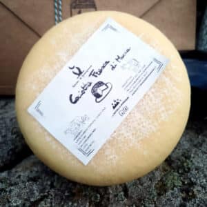 Caciotta Fresca di Mucca