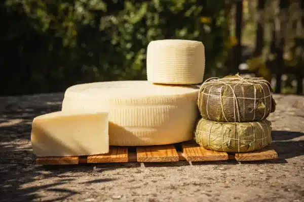 I nostri Formaggi e un Mondo intorno