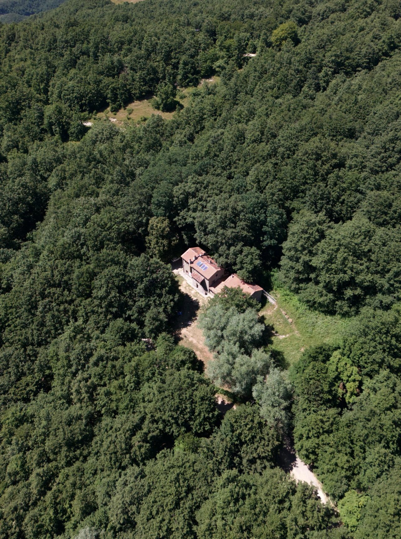 8e6bd89c-172f-454d-a6bc-dcefdb4ecec7 2