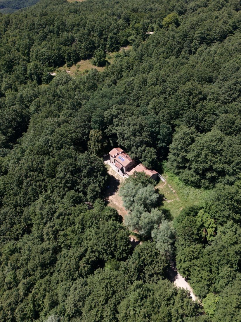 8e6bd89c-172f-454d-a6bc-dcefdb4ecec7 2