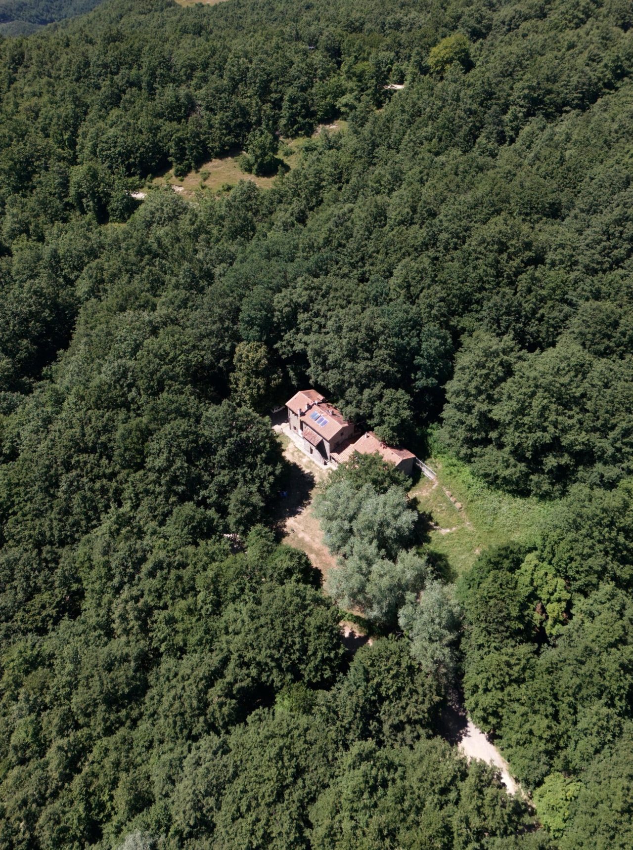 8e6bd89c-172f-454d-a6bc-dcefdb4ecec7 2