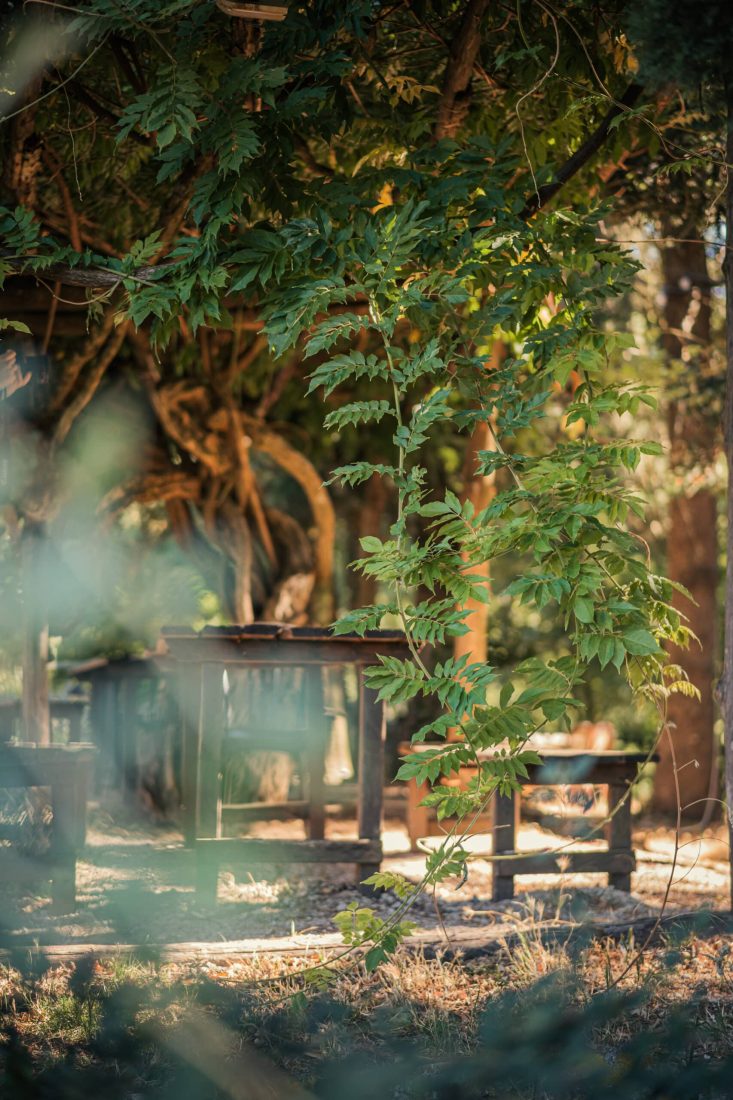 E-Bike e Natura per Due 018