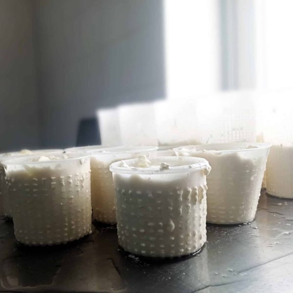 IMG_20231106_112543-copia-scaled